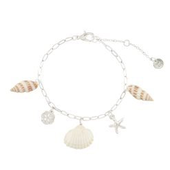 Starfish, Sand Dollar, Shell Charm Bracelet-6pcs