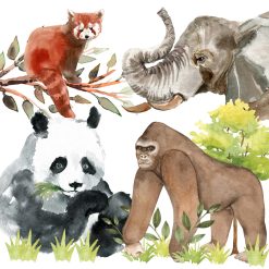 Wildlife